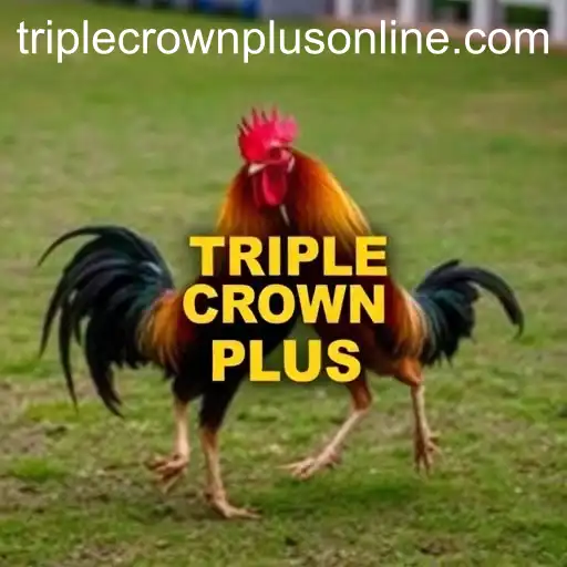 The Digital Evolution of Cockfighting: Online Sabong and the Triple Crown Plus